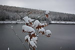 秋雪