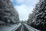 塞北雪