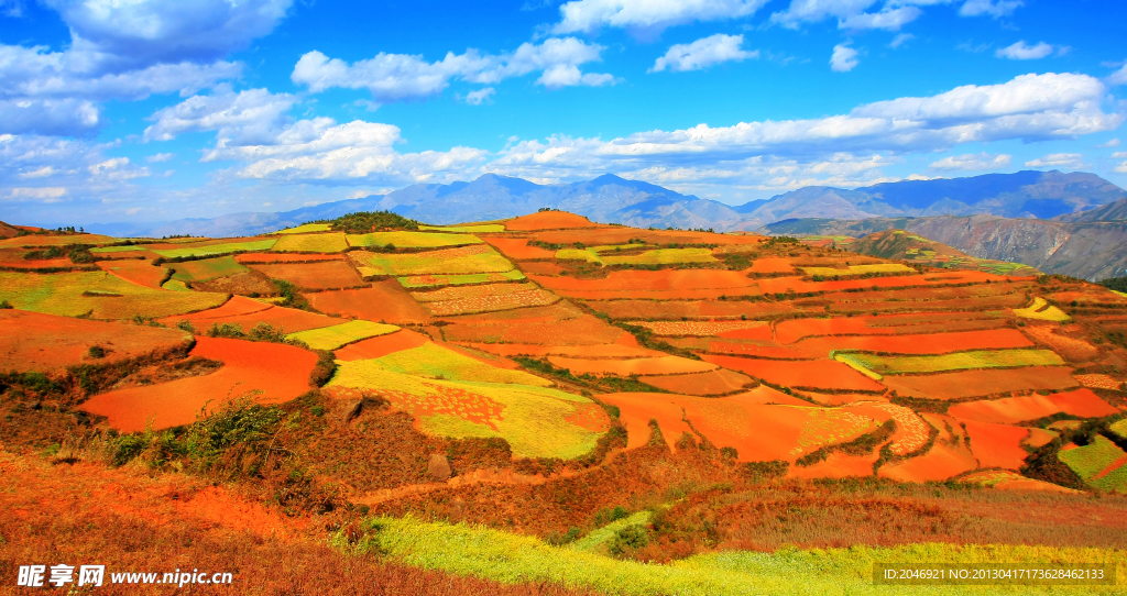 东川红土地