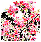 杜鹃花