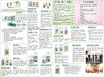 安利纽崔莱宣传单