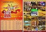 5 1传单