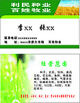 高档名片