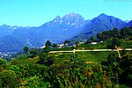 雁鸣湖阴那山茶田风光