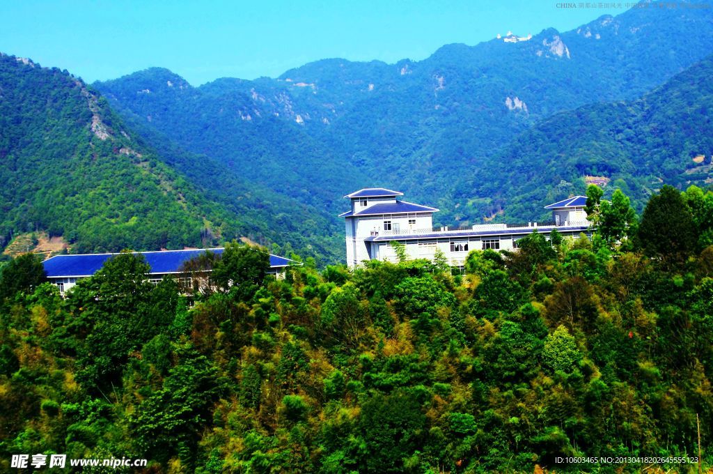 五指峰风光 阴那茶田