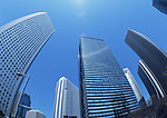 城市