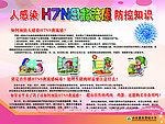 禽流感 学校展板 H7N9
