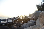 鼓浪屿