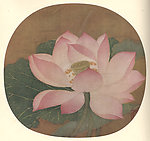 出水芙蓉图