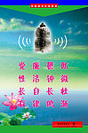 企业语录