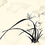 兰花