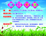 劲草中队
