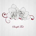 时尚花纹 鲜花花卡