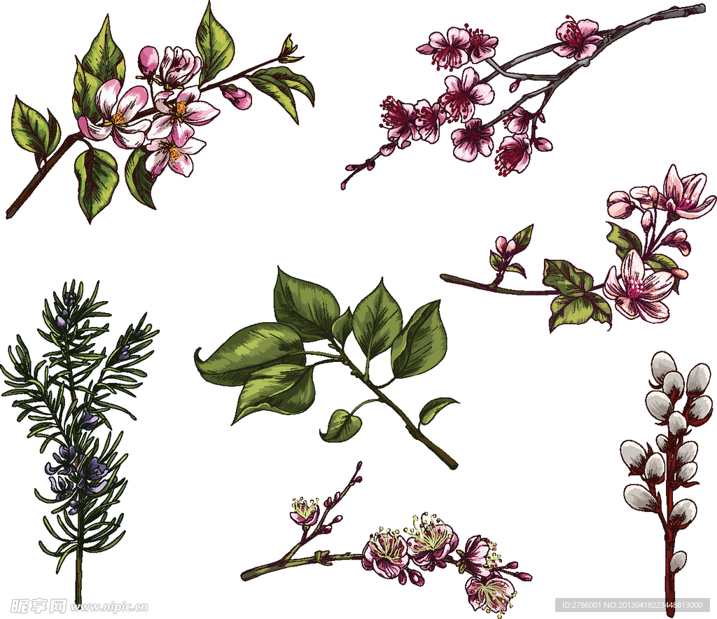 手绘花枝 树枝