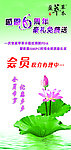 盈萃草本