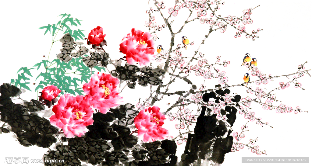 牡丹