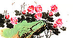 牡丹花