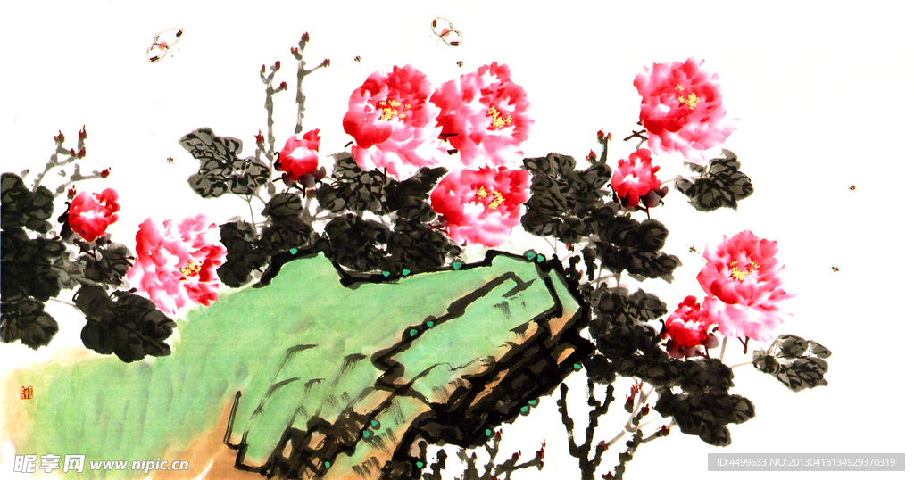 牡丹花