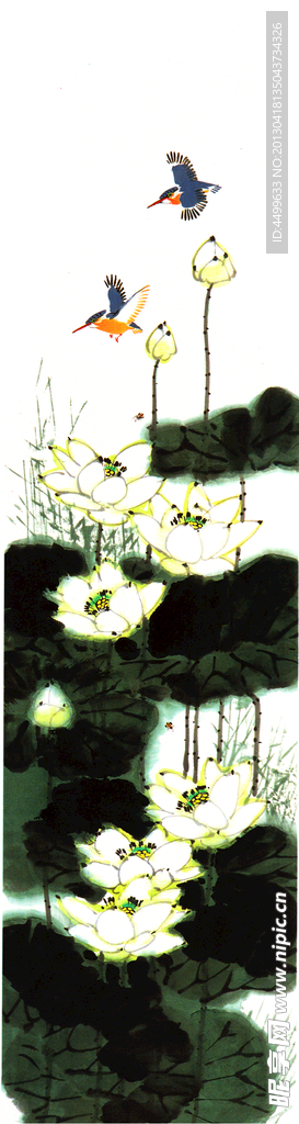 荷花