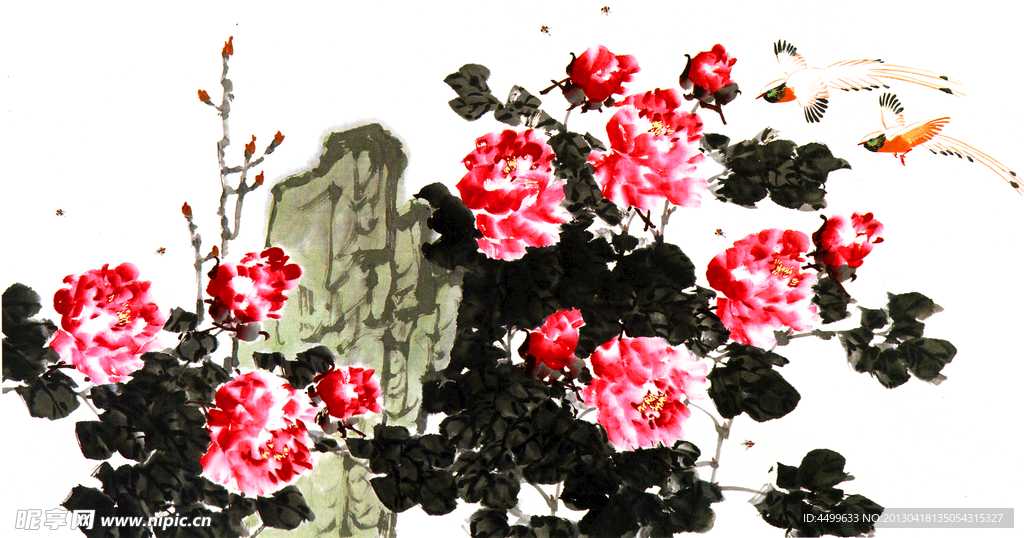 牡丹花