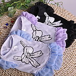 宠物衣服 蝴蝶 正面