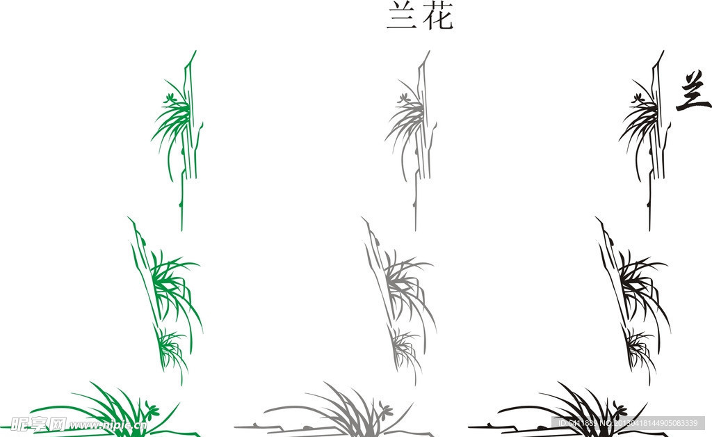兰花矢量