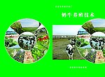 奶牛养殖技术