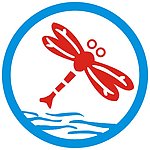 蜻蜓 标识标志图标