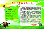 布鲁氏菌病防治知识