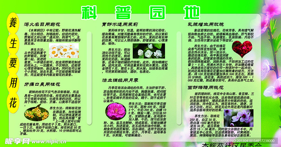 养生要用花
