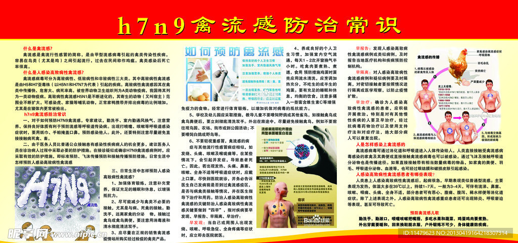 H7N9禽流感防治