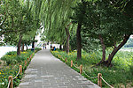 颐和园林荫道风景