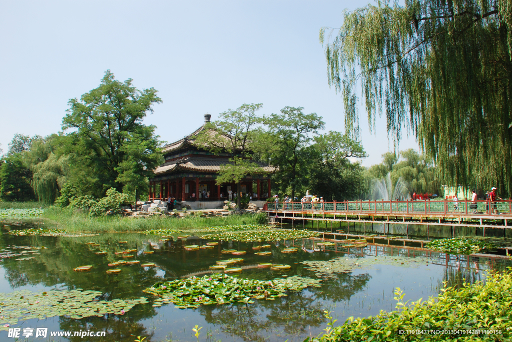 游圆明园夏景