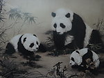 工笔国画熊猫一家