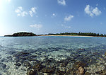 海岛