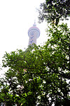 东方明珠