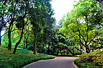 陆家嘴绿地