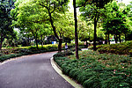 上海市中心绿地