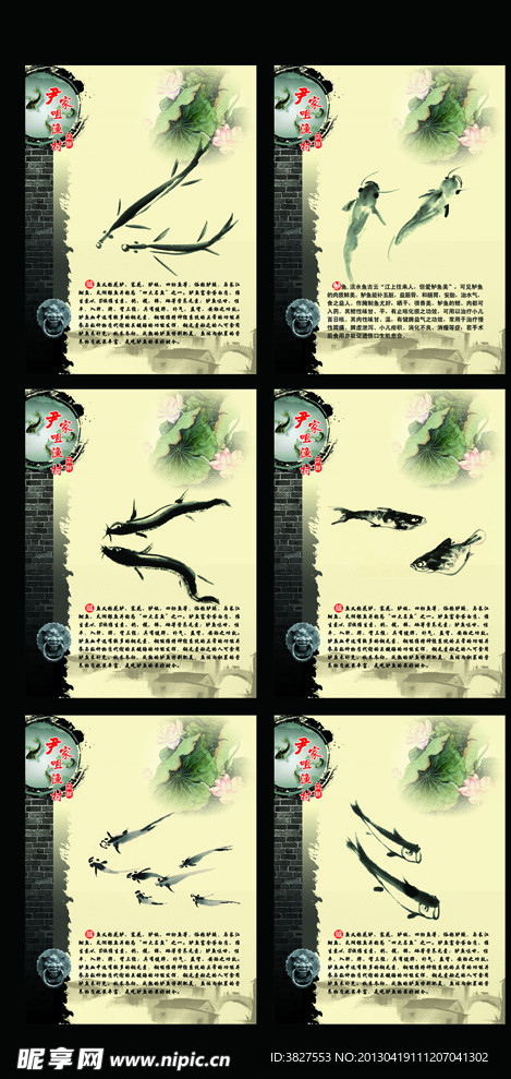 鱼文化展板