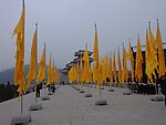 锦旗招展