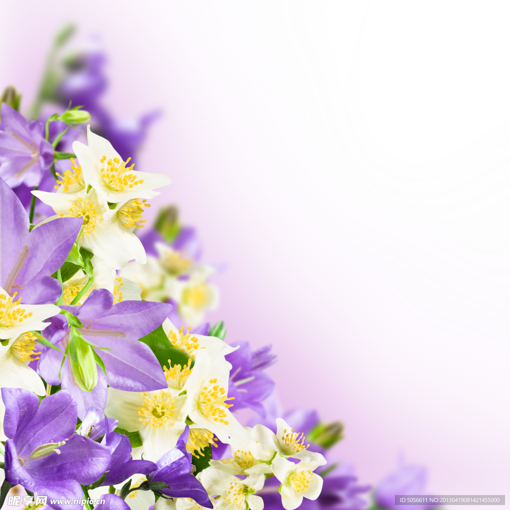 鲜花