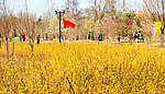 雕塑公园风景