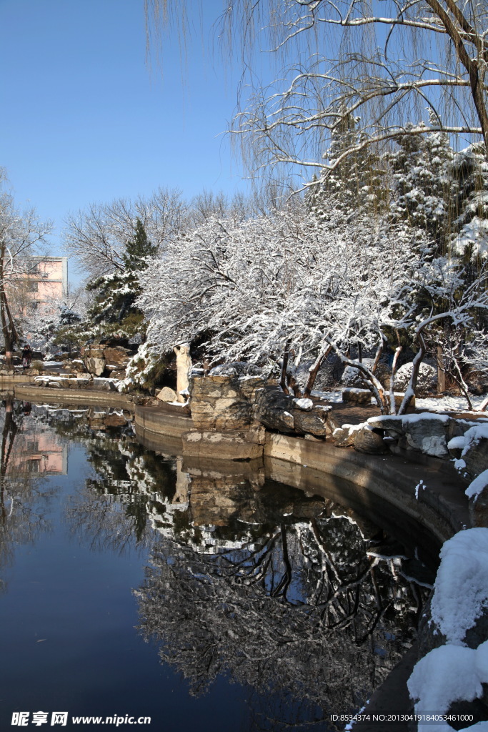 淑兰公园的雪