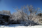 淑兰的雪