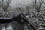 淑兰的雪景