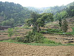 乡村美景