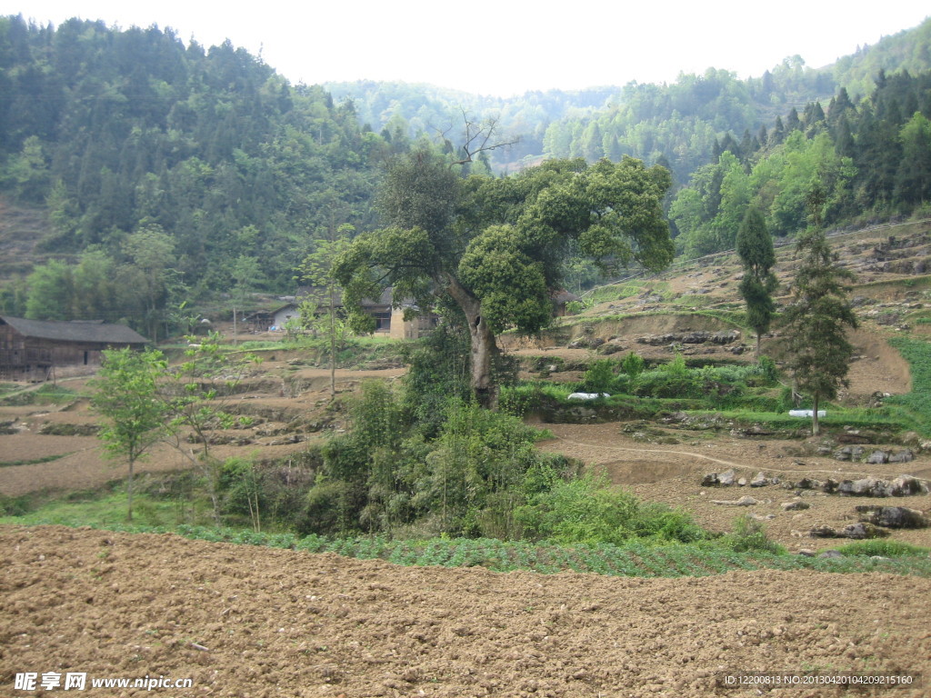乡村美景