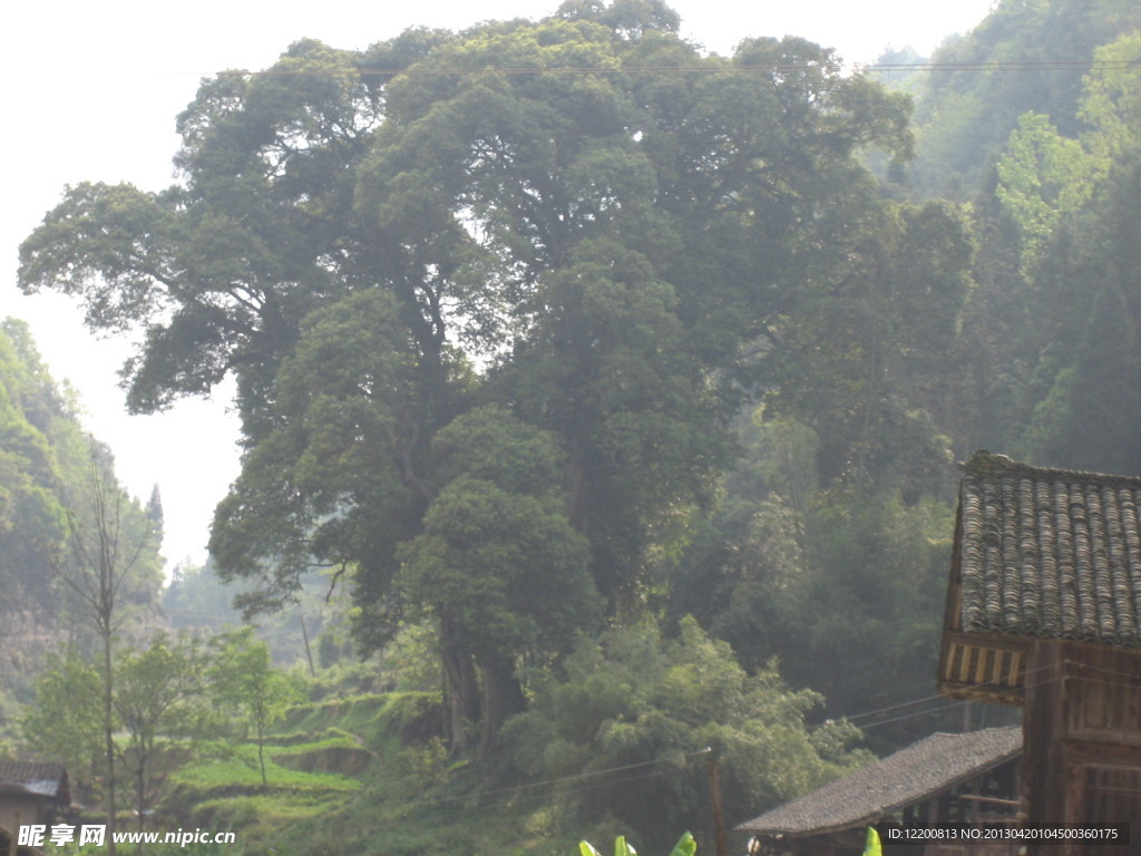 小山村