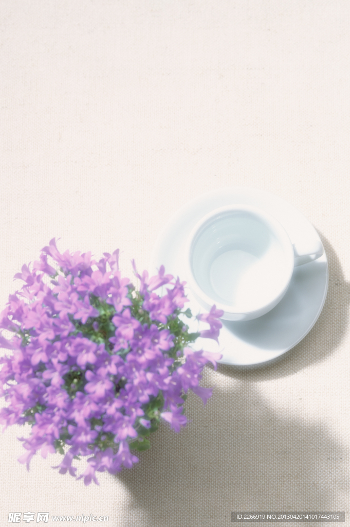 花卉艺术