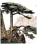 迎客松